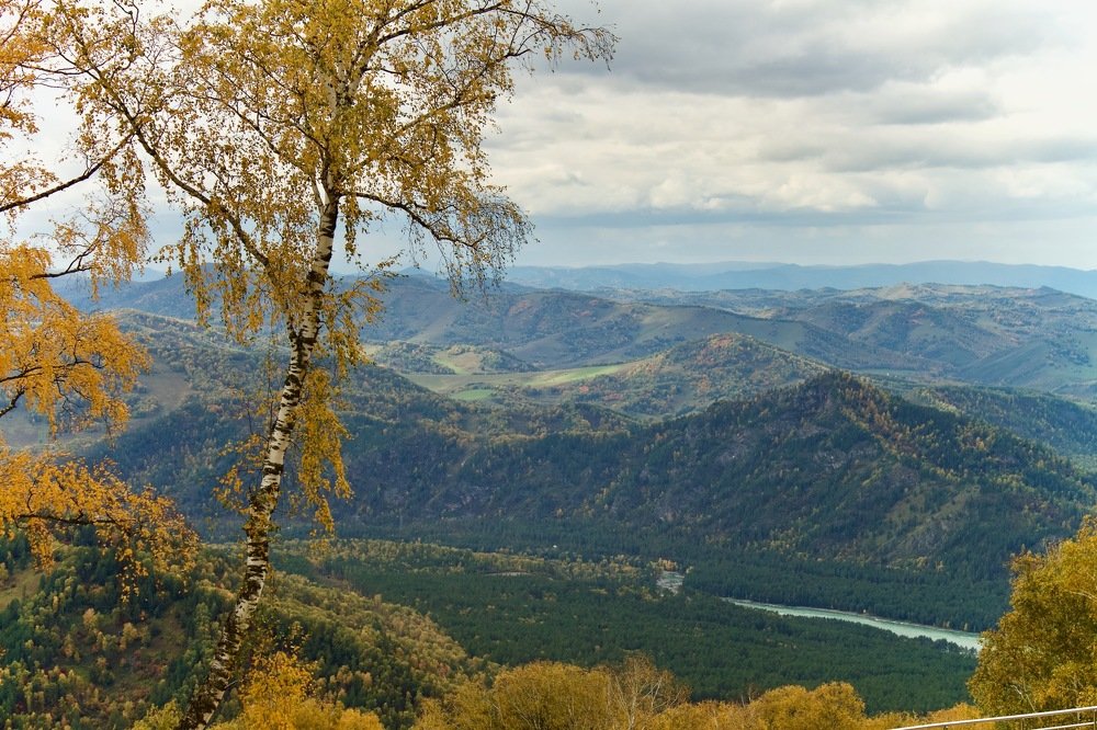 Photograph by Анастасия Полищук