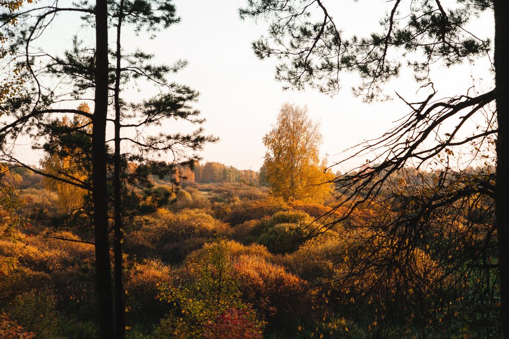 Photograph by Егор Лубягин