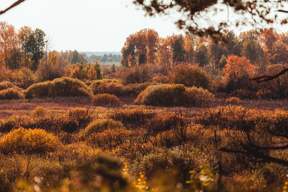 Photograph by Егор Лубягин