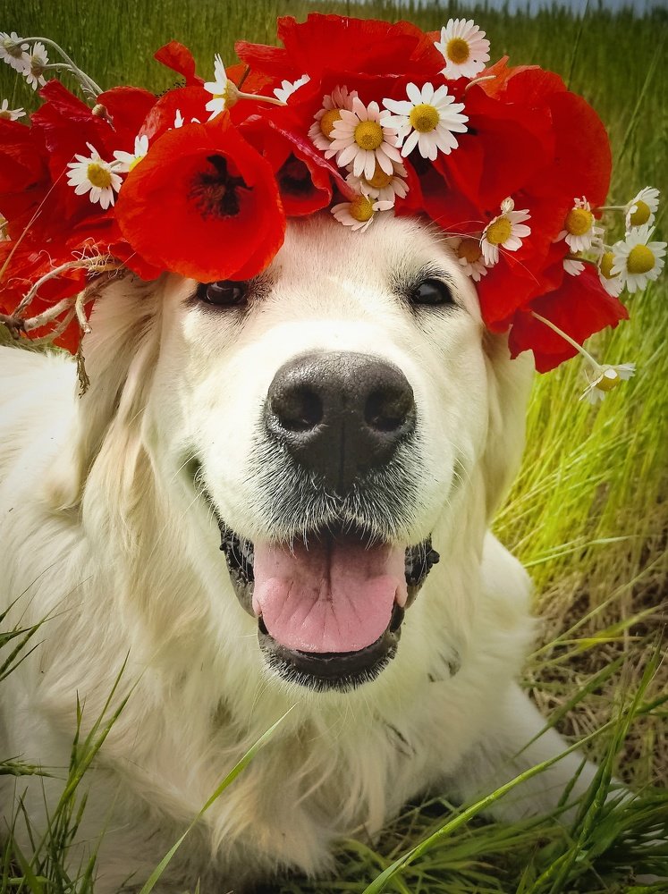 Photograph by Катерина Онацкая