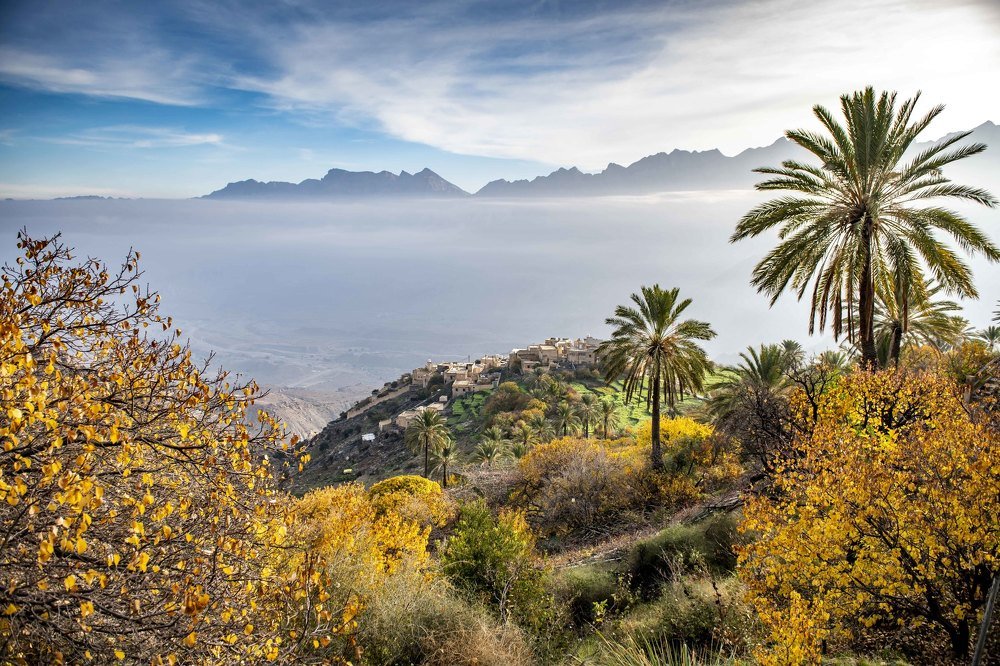 Фотография автора rohan sule