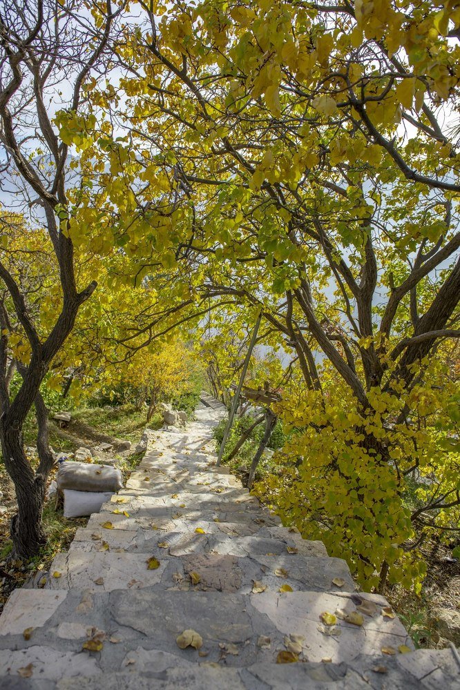 Фотография автора rohan sule