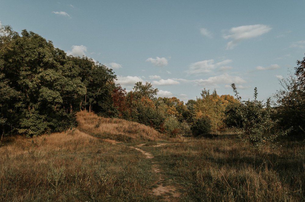 Ранняя осень