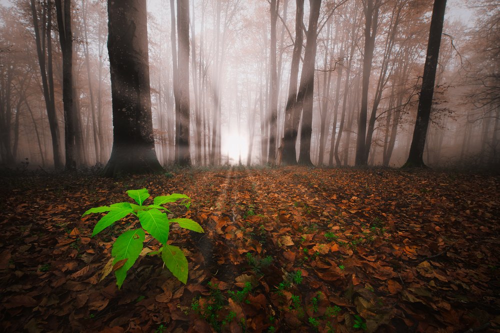 Photograph by Mahdi Sedaghi