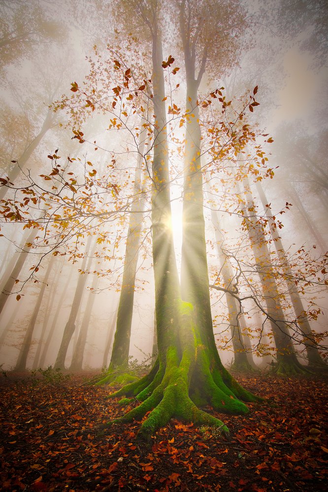 Photograph by Mahdi Sedaghi