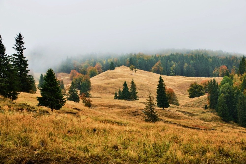 Autumn fog