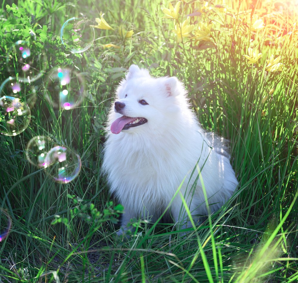 Photograph by Марина Рагозина