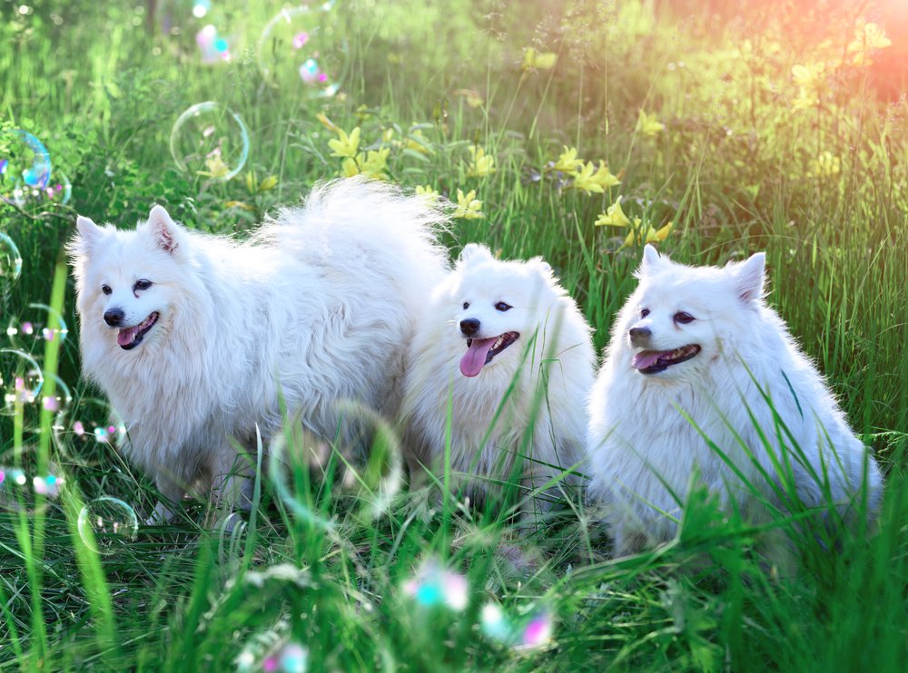 Photograph by Марина Рагозина