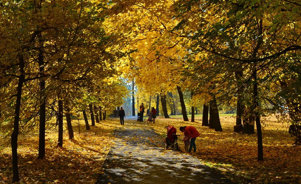 В осеннем парке