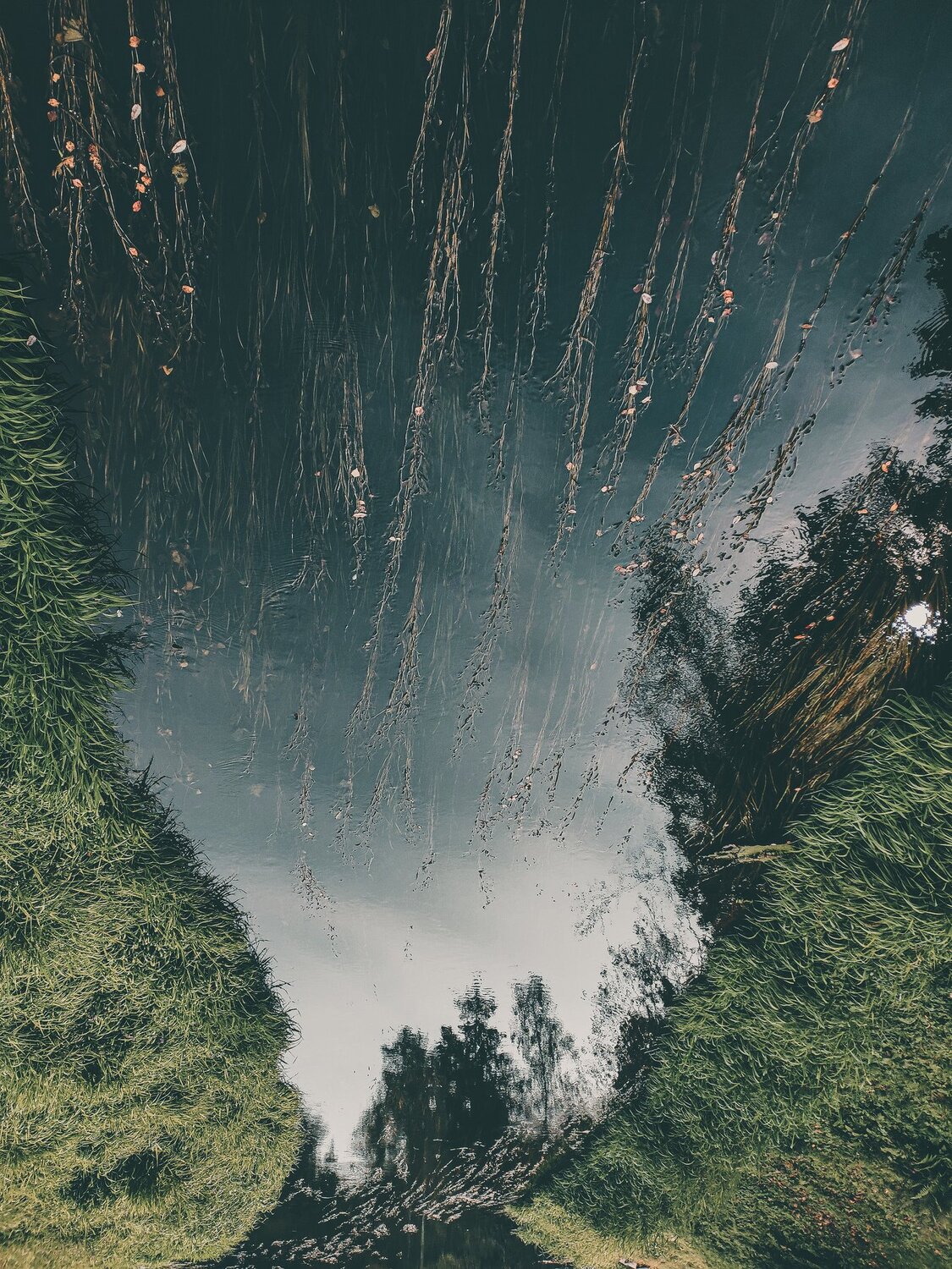 Photo #5042835