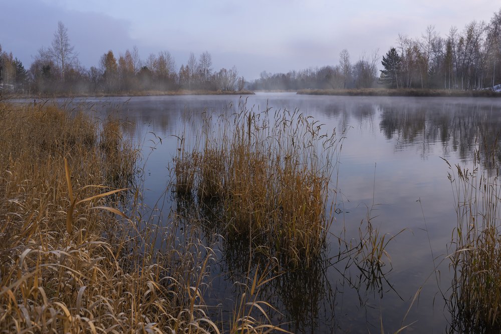 Утро осеннее, утро седое.