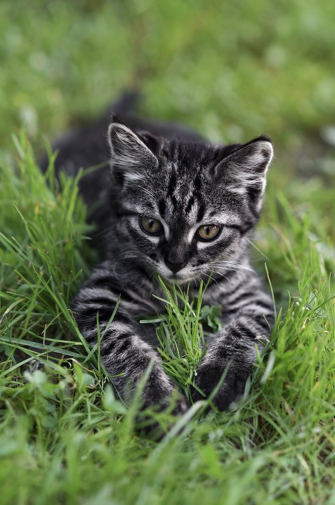 Photograph by Natalia Badyul