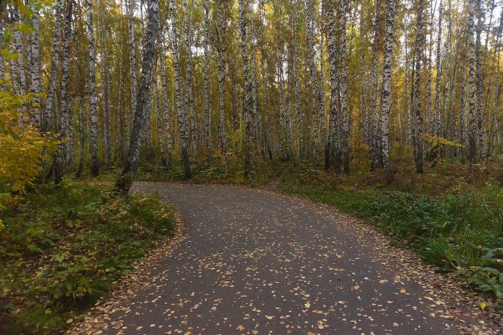 Шуршит, опадая листва.