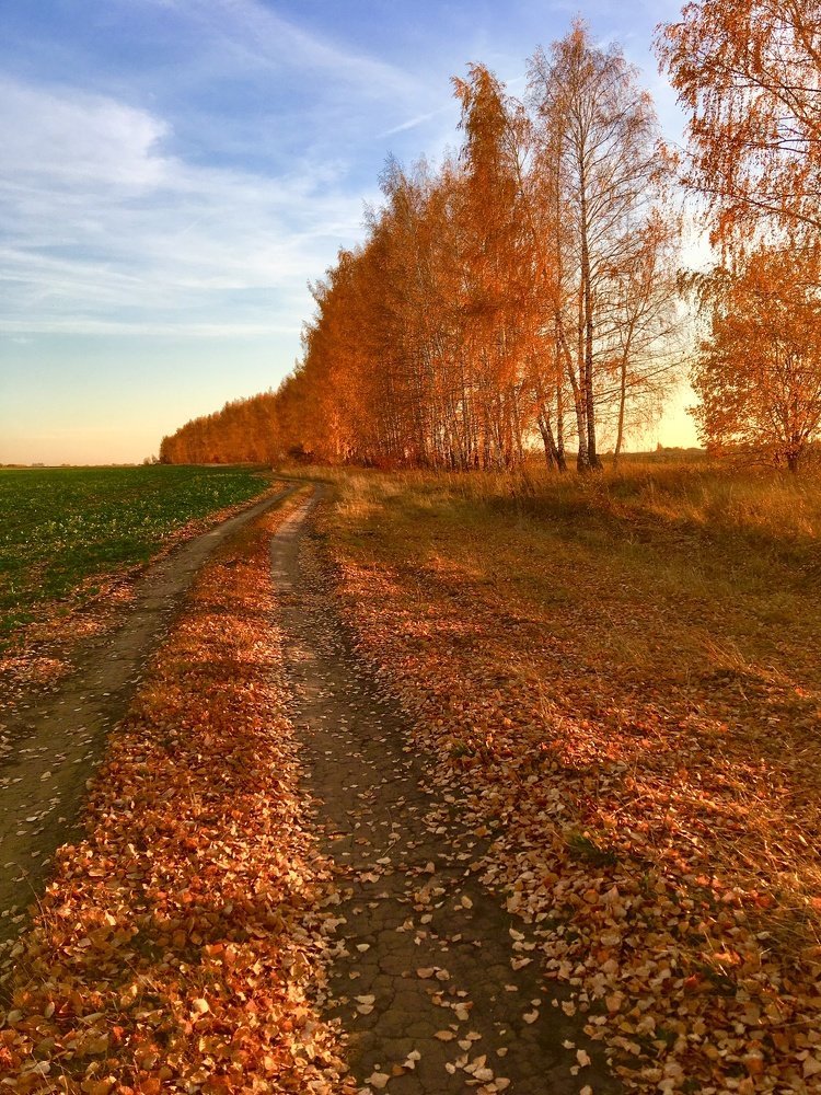 Photograph by Евгения Ципрук