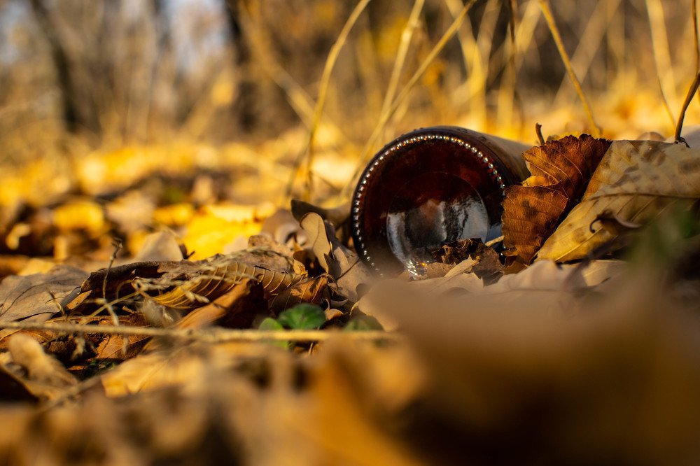 Осенний мусоропад...