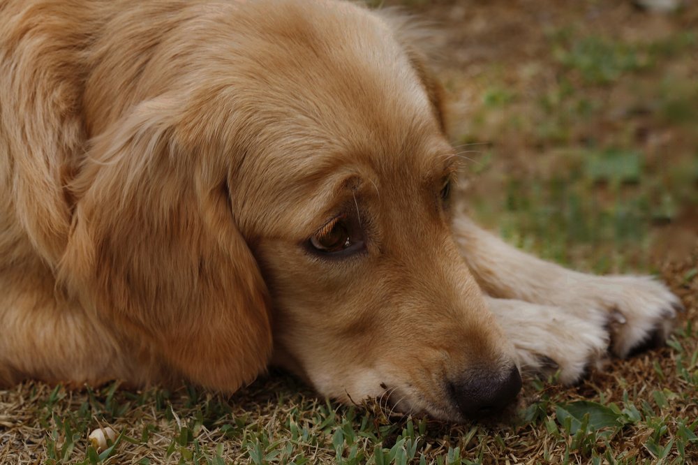 Si mami, me porté mal.