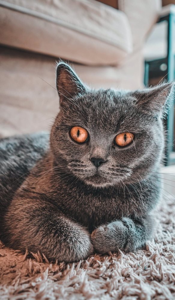 Photograph by Maliseva-Gaile 