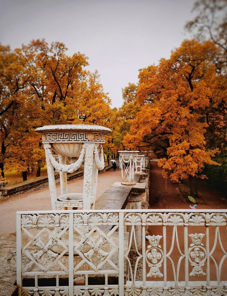 Photograph by Ольга Мажарук