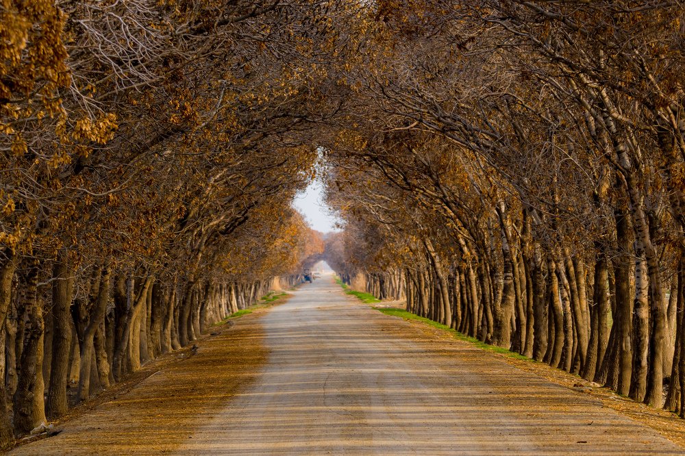 Photograph by Vahid Yavari