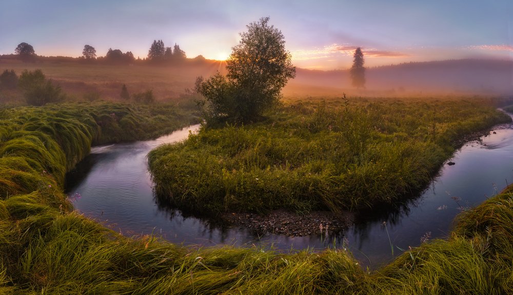 Magical morning in the Bohemian Forest