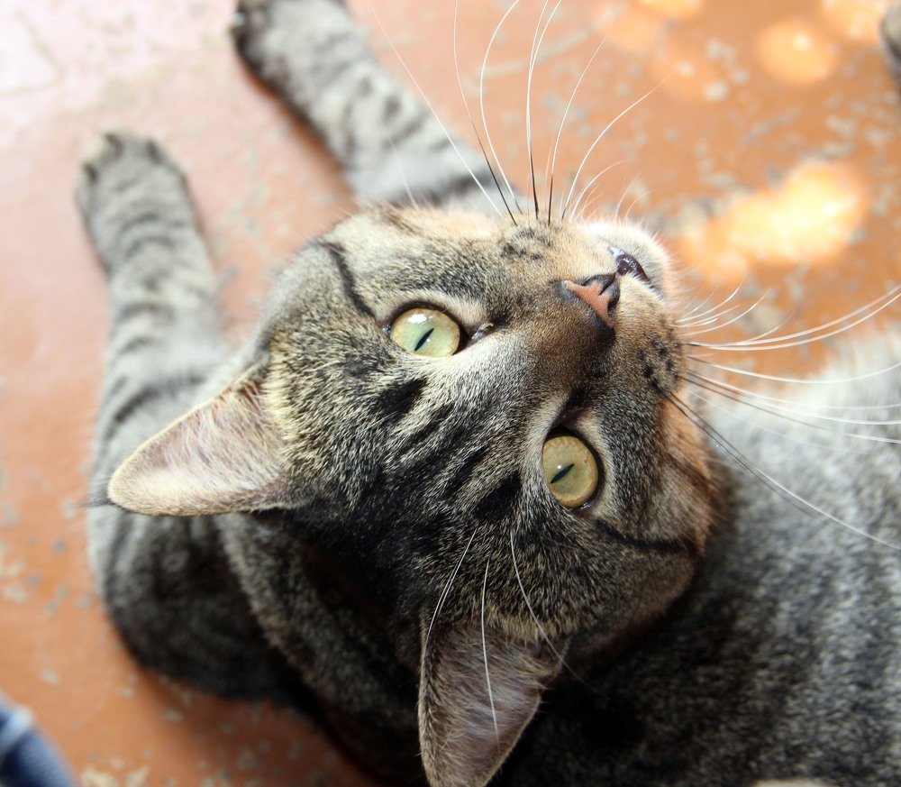 Photograph by Pavel Palkin