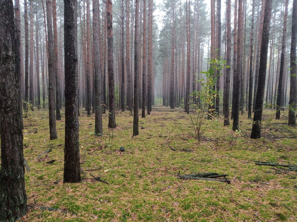 Photo #5043074