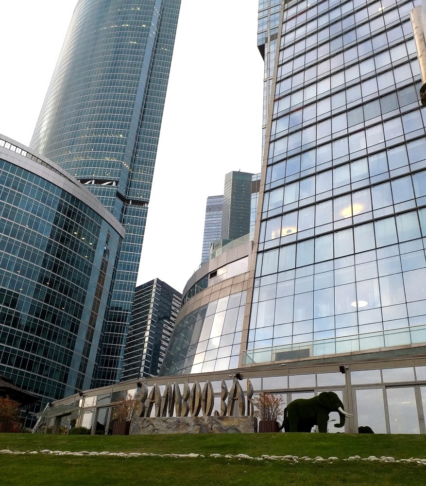 Слон в городе