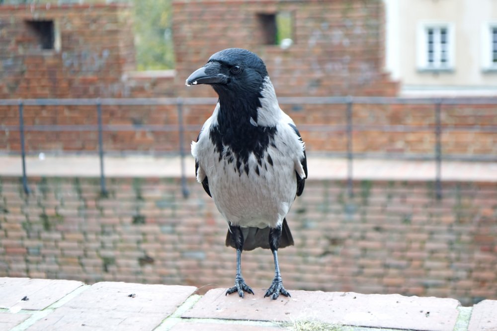 Photograph by Александр Белоус