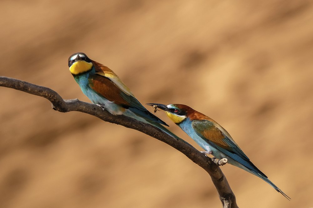 Photograph by Василий Дудин