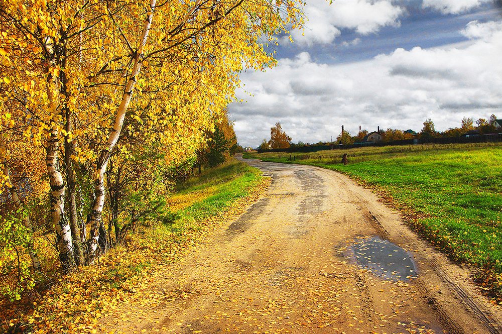 Дорога золотых монет