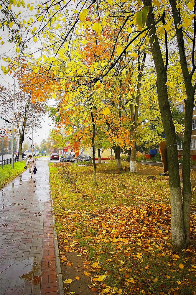 Золотой  сентябрь