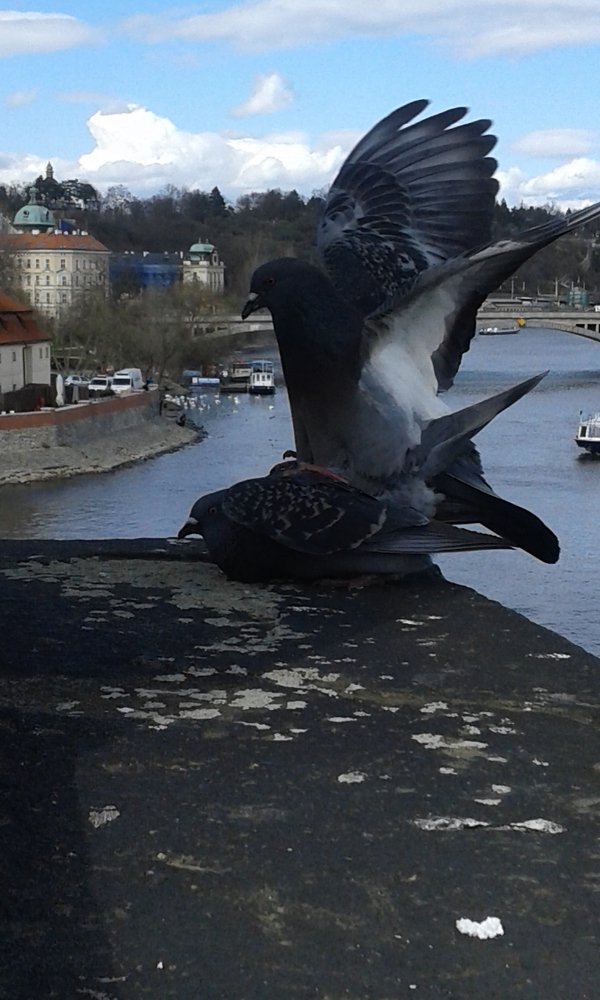 Photograph by Ирина Пичугина