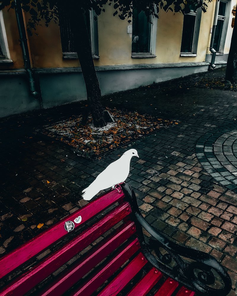 Photograph by Павел Агеев