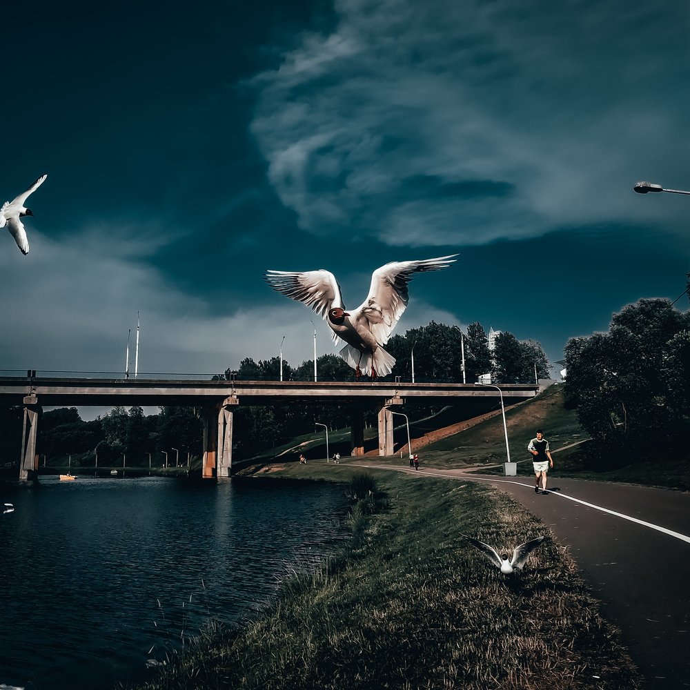 Photograph by Павел Агеев