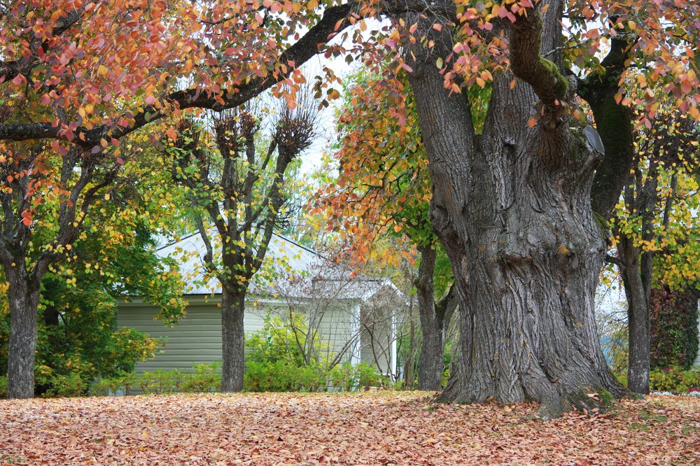 Photograph by Людмила Травина