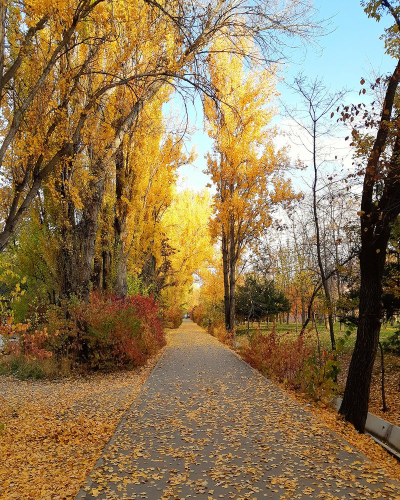 Photograph by Inessa Botasheva