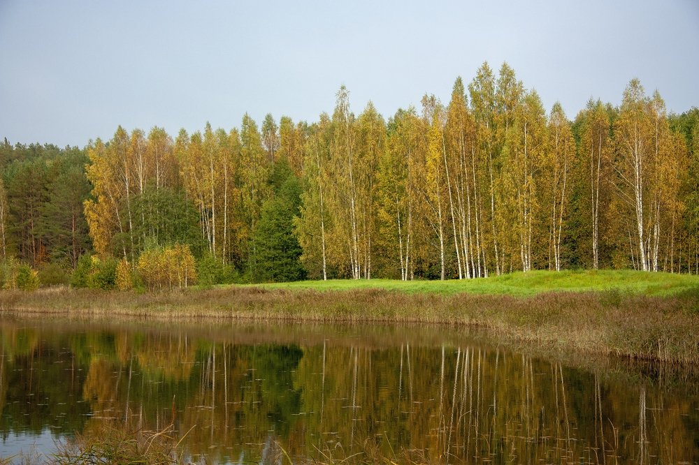 Photograph by Людмила Травина