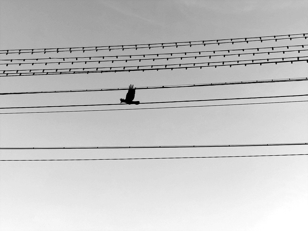 Photograph by Karina Yakovleva