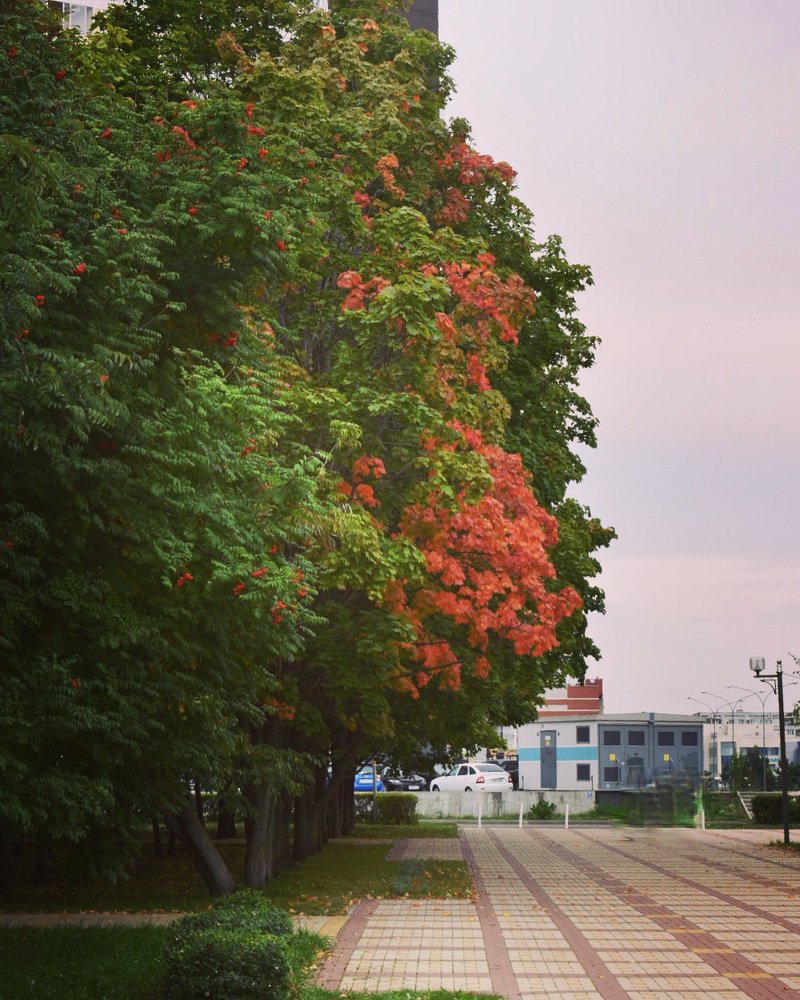 Photograph by Kira Bahvalova