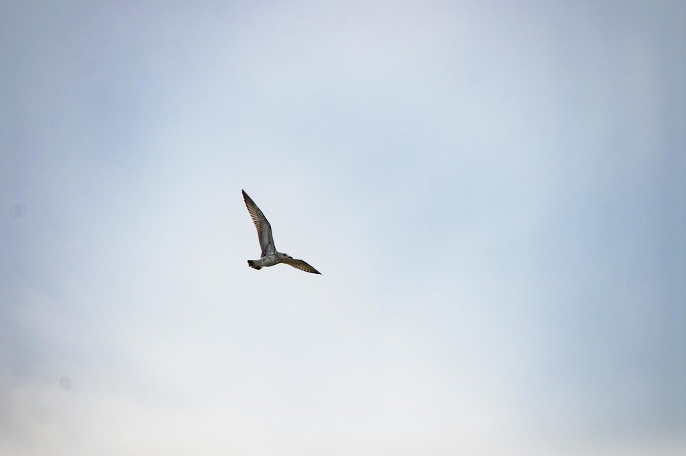 Photograph by Елизавета Аврамова