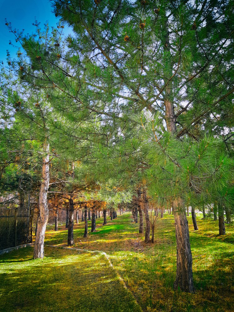 Photograph by Inessa Botasheva