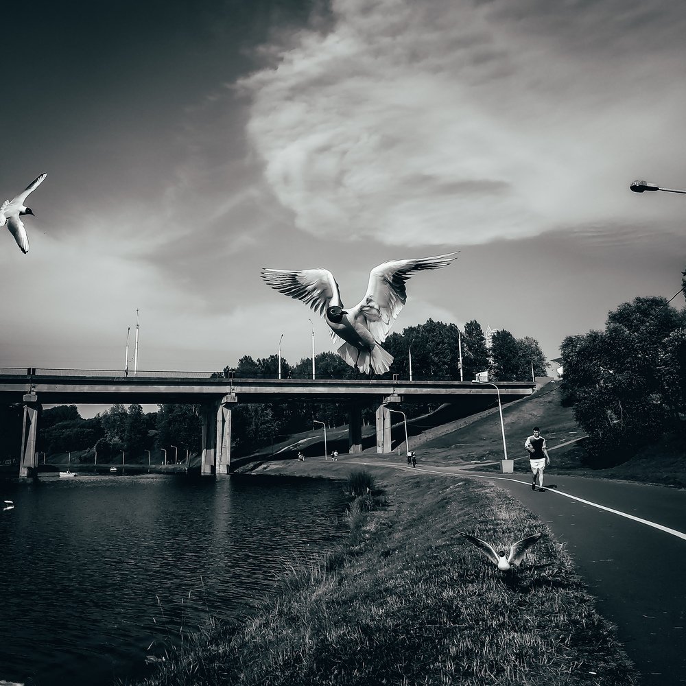 Photograph by Павел Агеев