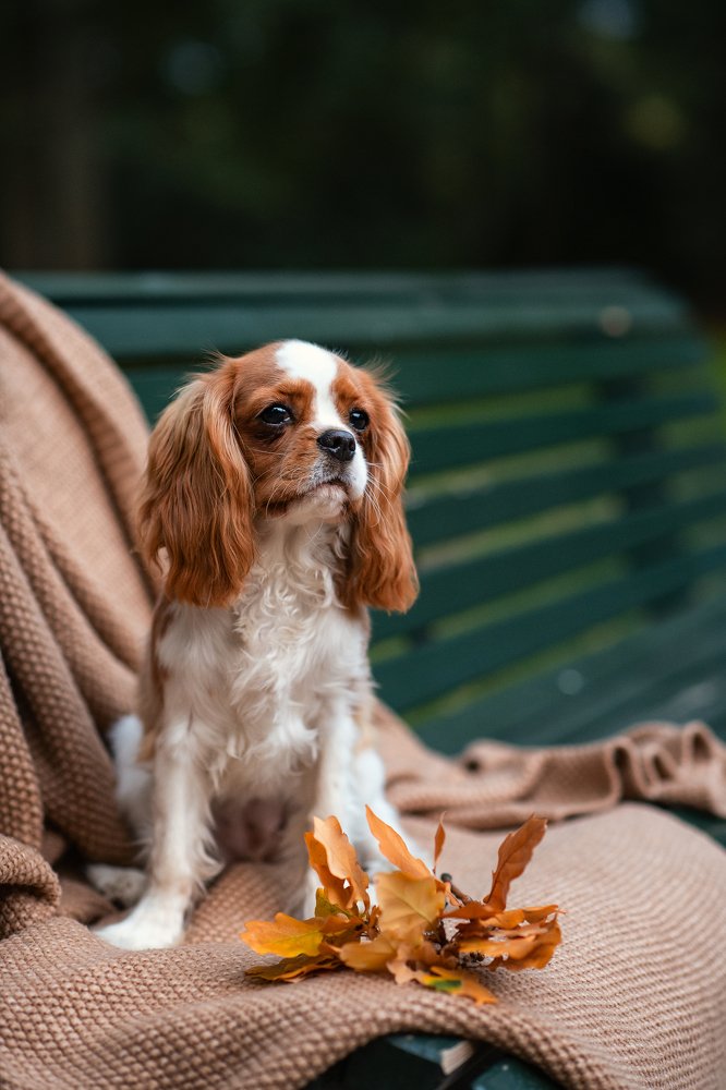 Photograph by Юлия Борт