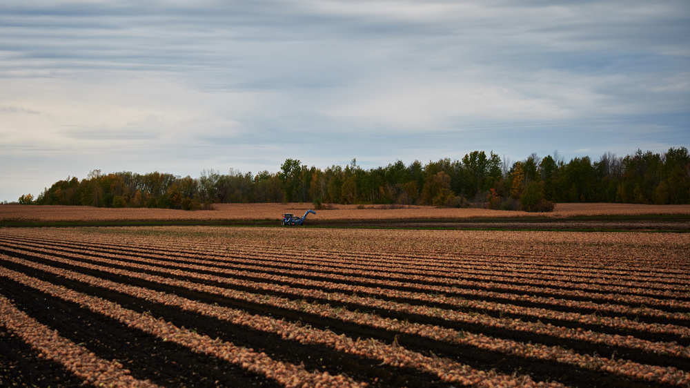 Photograph by Natalia Ghimp