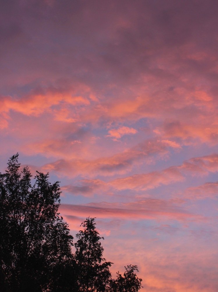 Photograph by Анастасия Племениченко