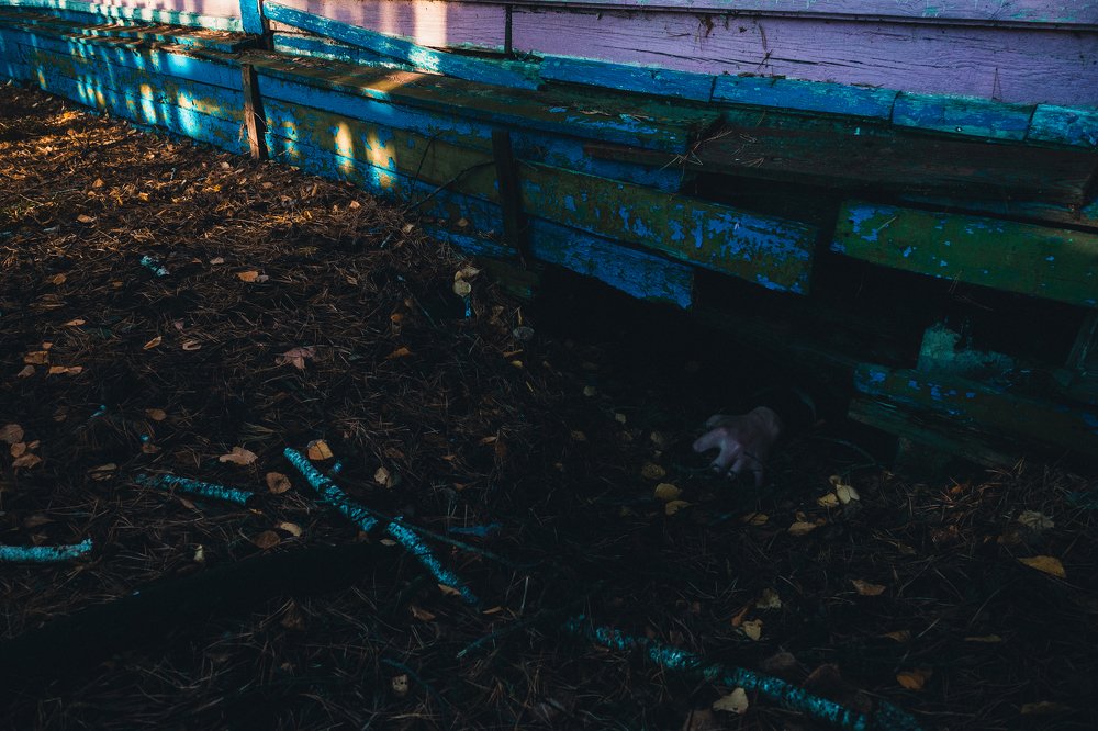 Photograph by Егор Лубягин