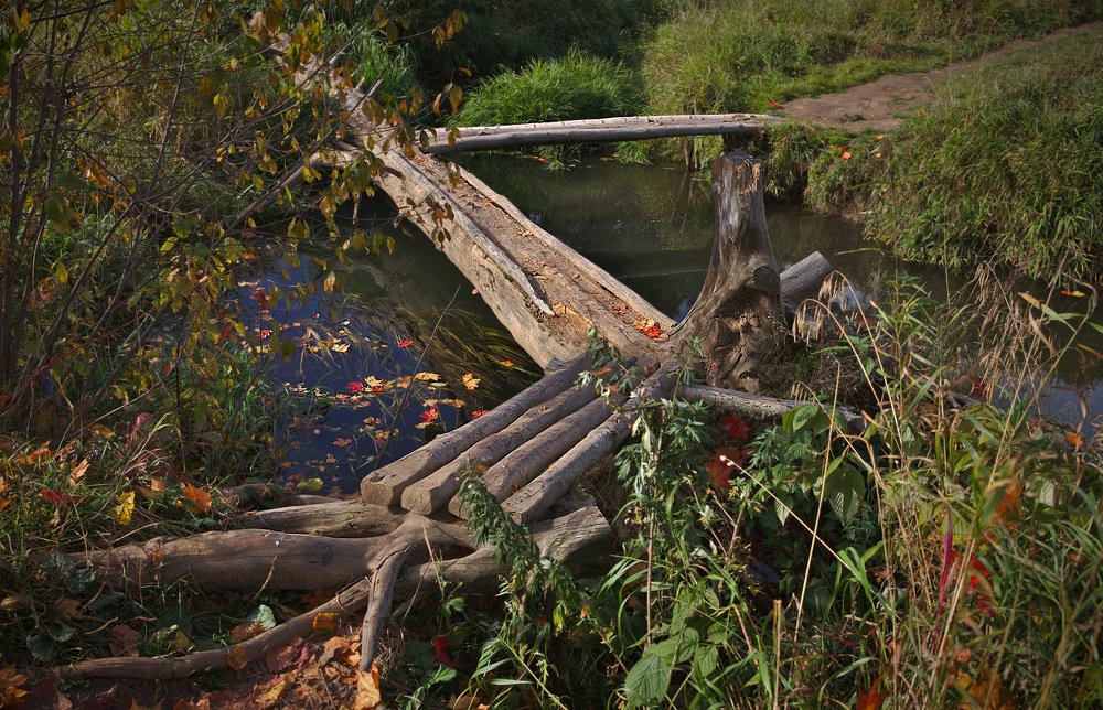 Photograph by Александр Поляк-Брагинский