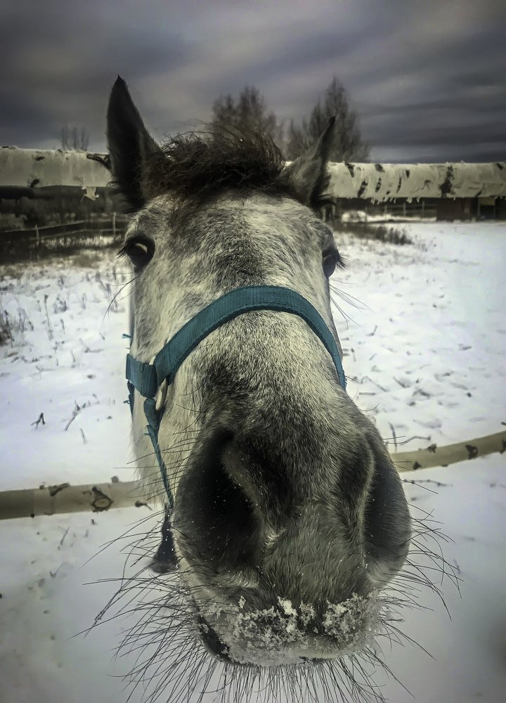 Hi dude! How are you? What a strange box in your hand? :)