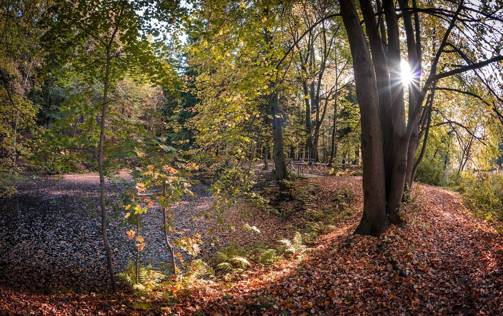 Photograph by Смирнов Валерий