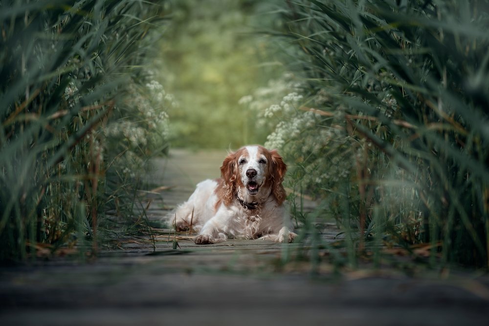 Photograph by Наталия Иванова